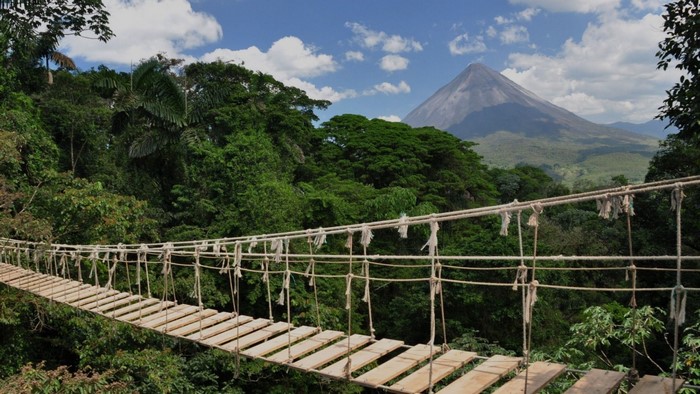 Suspension bridge in front of a volcano and jungle