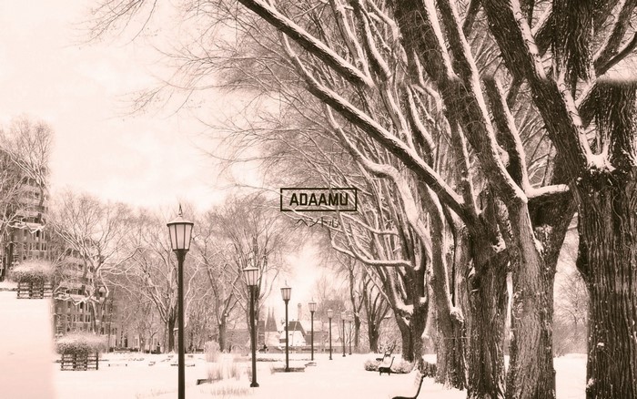 Snowy park with trees and lampposts