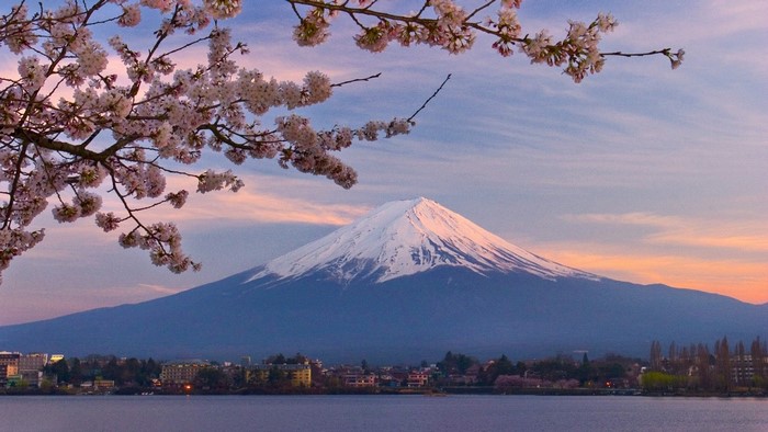Mount Fuji with cherry blossoms and lake at sunrise