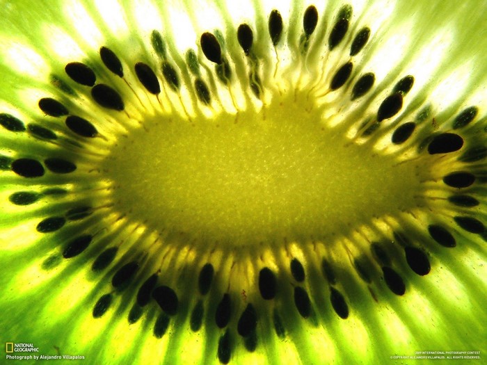 Macro photograph of a kiwi fruit slice
