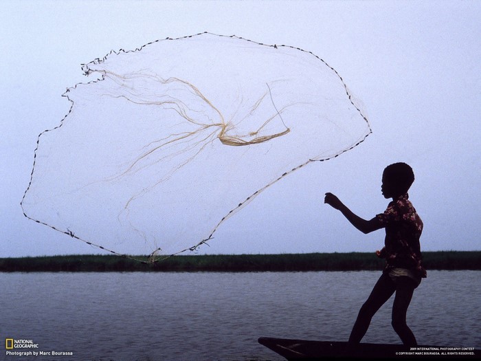 Boy fishing with a net from a boat