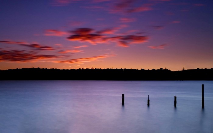 Sunset over a calm lake with silhouetted trees and posts