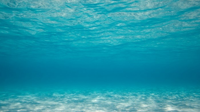 Underwater view of the ocean floor with sunlight filtering through the water