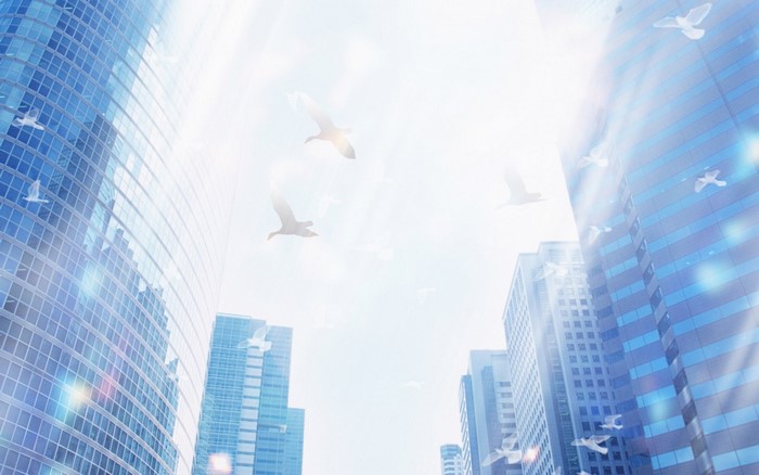 Birds flying over skyscrapers in a bright city