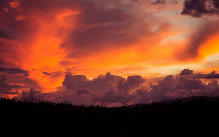 Sunset over a silhouetted grassy field
