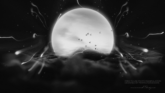 Monochrome moon with birds and light streaks