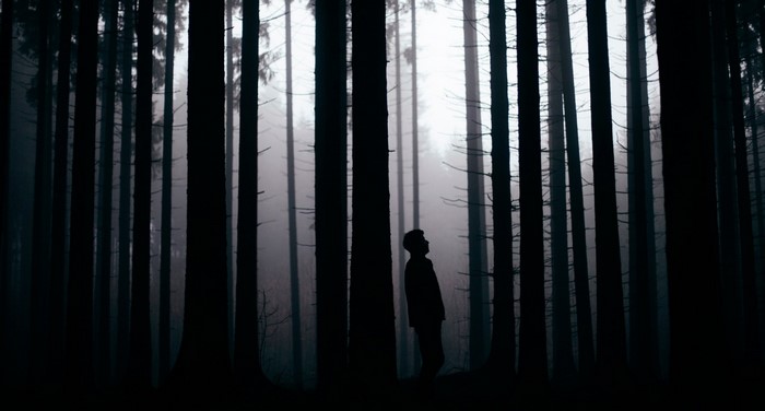 Silhouette of a person in a dark, foggy forest
