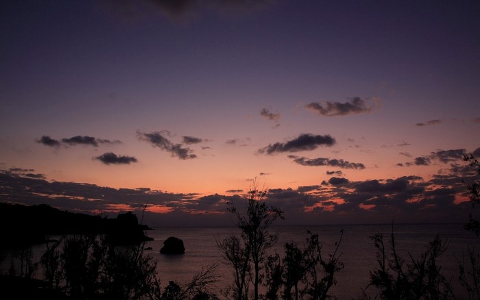 Sunset over the sea with silhouetted trees and land