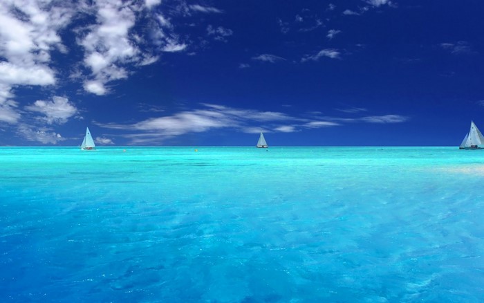 Sailboats on a turquoise ocean under a blue sky