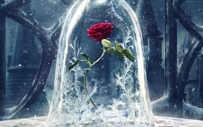 Enchanted Rose under Glass Dome from Beauty and the Beast