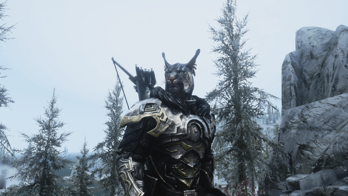 Khajiit from The Elder Scrolls V Skyrim in winter