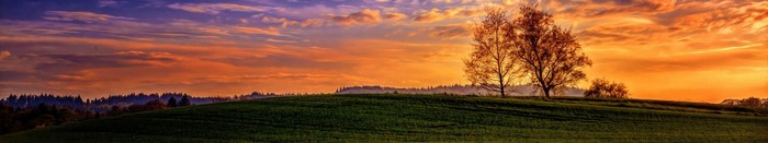 Panoramic sunset over a green field with trees