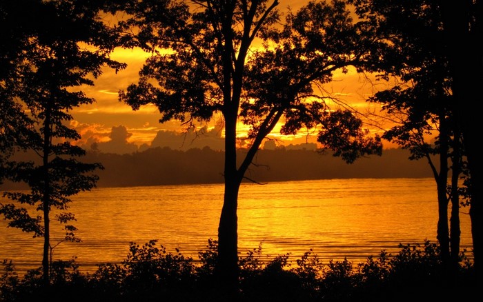 Sunset over a lake with trees silhouetted