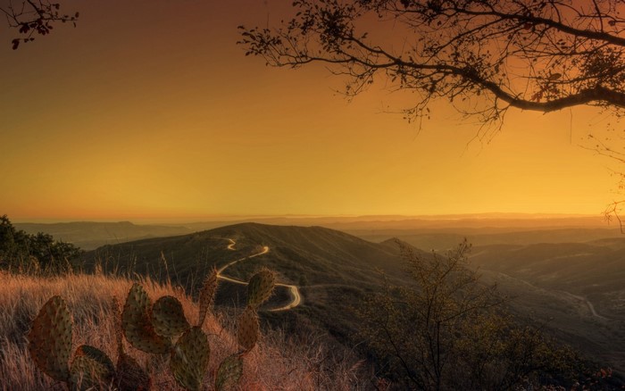 Winding road through hills at sunset with cactus