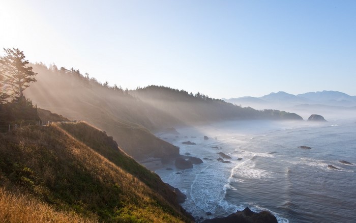 Misty morning coast with sunbeams over the ocean