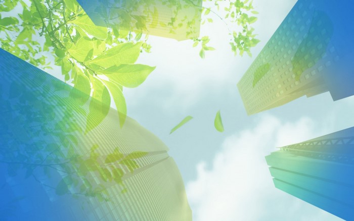 Skyscrapers and green leaves against a blue sky