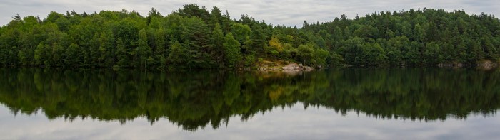 Forest reflected in a calm lake under a cloudy sky