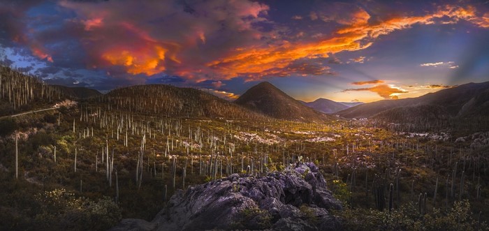 Sunset over a cactus-filled valley in Mexico