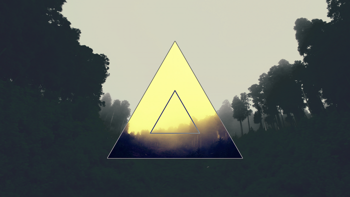Geometric overlay on misty forest landscape