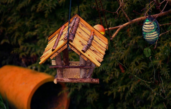 Wooden bird feeder hanging in a garden