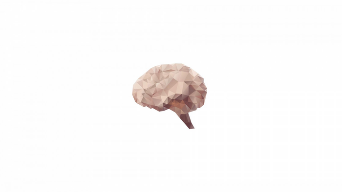 Low poly brain illustration on white background