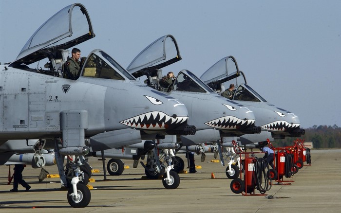 Fairchild A-10 Thunderbolt II aircraft with shark teeth nose art