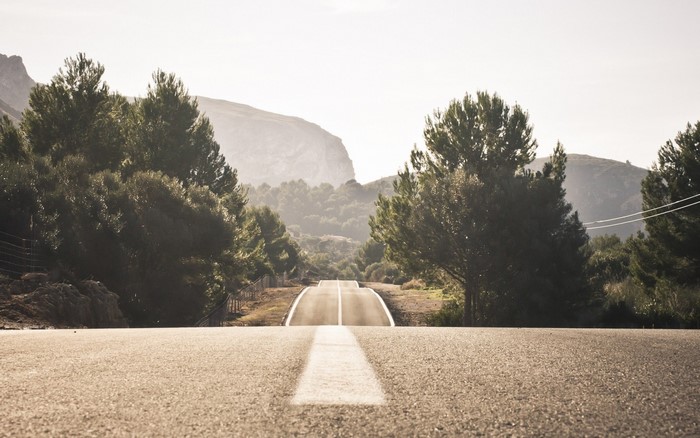 Road through trees and hills in sunlight