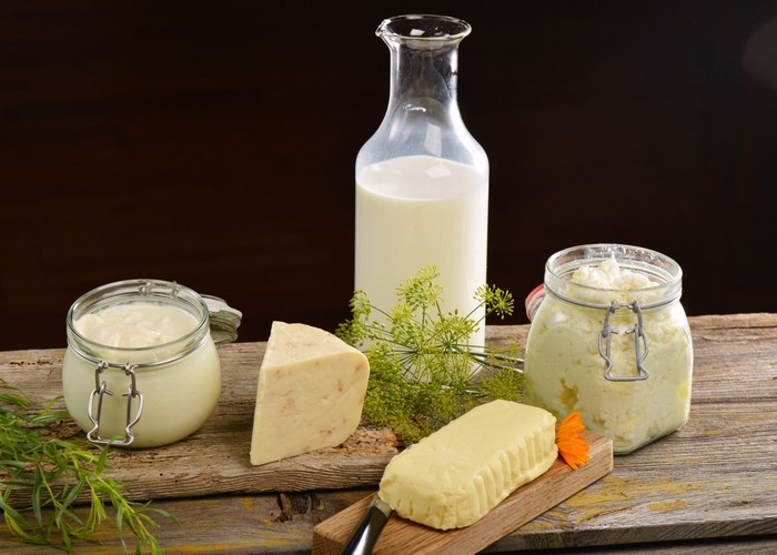 Dairy products including cheese, butter, milk, and yogurt