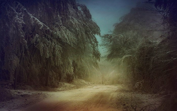 Snowy forest path with mist and sunlight