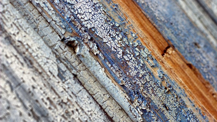 Close up of weathered wood with peeling blue paint