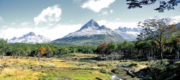 Mountain landscape with forest and meadow in Patagonia