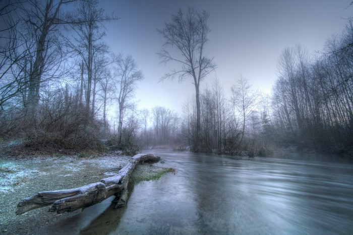 Winter forest landscape with a river and fallen log