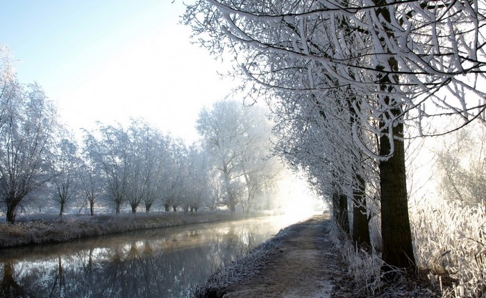 Winter canal with frosted trees and sunlight