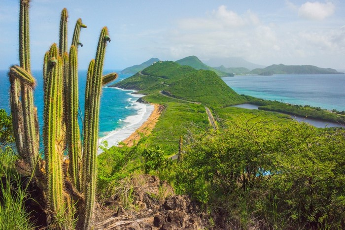 Tropical island landscape with cactus and coastline