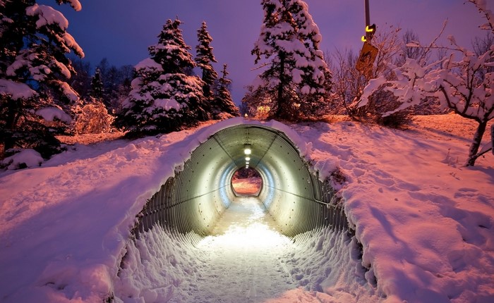 Snowy tunnel at night with trees