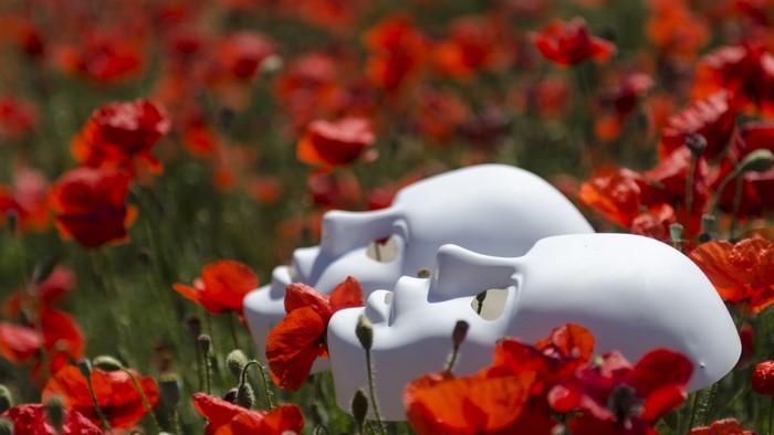 Two white masks in a field of red poppies