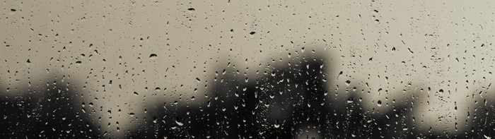 Raindrops on a window with blurred trees