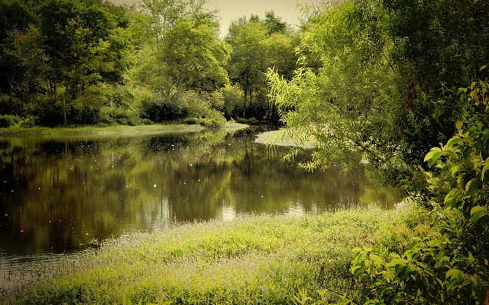 A tranquil lake reflects trees and a grassy shore.
