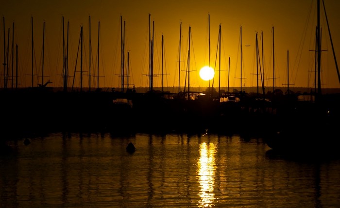 Sailboats silhouetted against a sunset over water