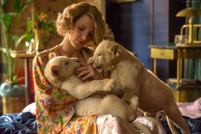 Jessica Chastain with lion cubs in The Zookeeper's Wife