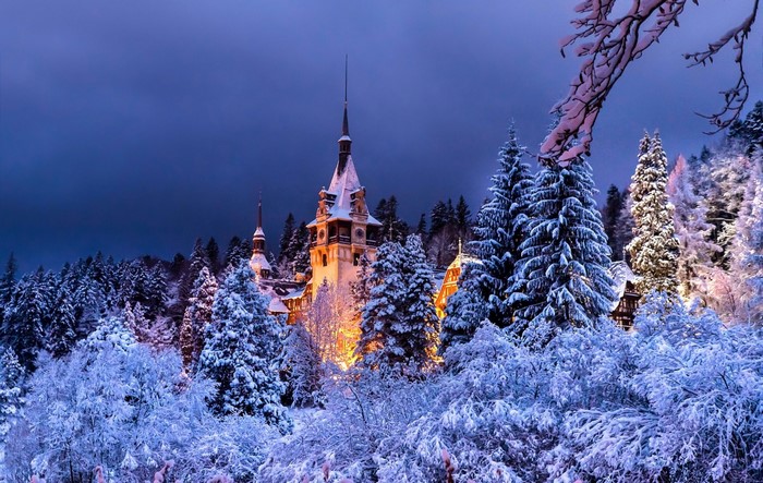 Castle in a snowy forest at night