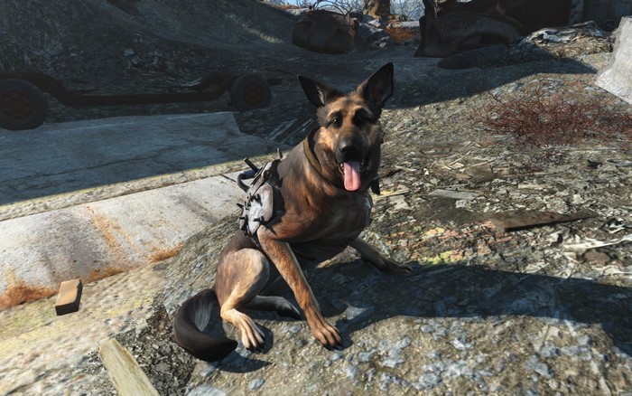 Dogmeat from Fallout 4