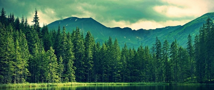 Forest lake with mountains and cloudy sky