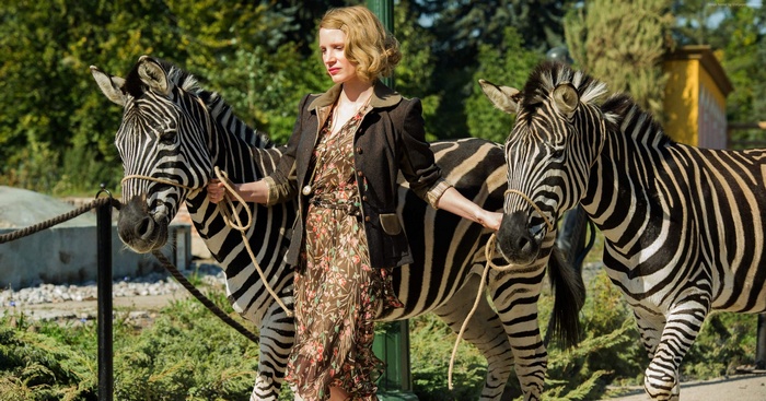 Jessica Chastain with Zebras in The Zookeeper's Wife