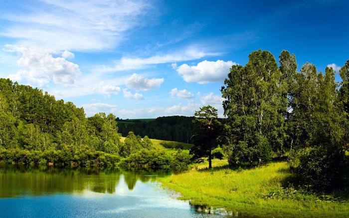 A tranquil lake surrounded by lush green trees under a blue sky