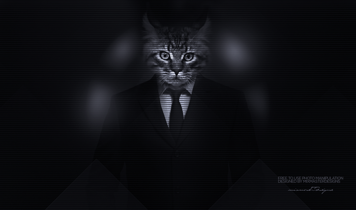 Cat in a Suit Photo Manipulation