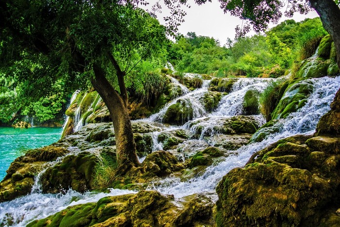 Waterfall cascading over moss-covered rocks with lush green trees