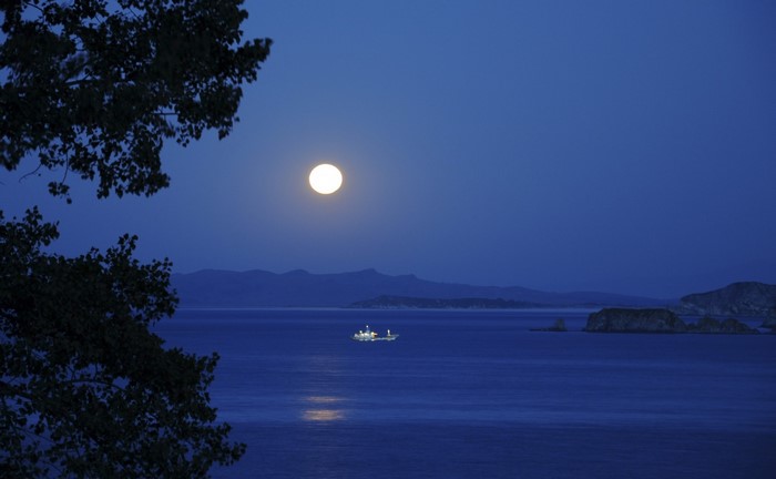 Full moon over the sea with a ship and tree