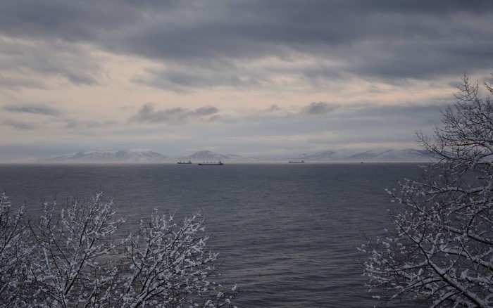 Ships on the sea with snow-covered trees in the foreground