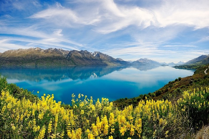 Turquoise lake reflecting mountains with yellow wildflowers in foreground
